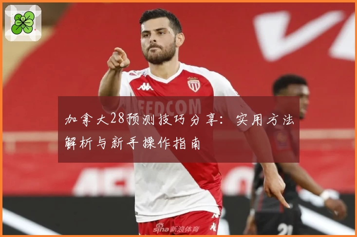 加拿大28预测技巧分享：实用方法解析与新手操作指南
