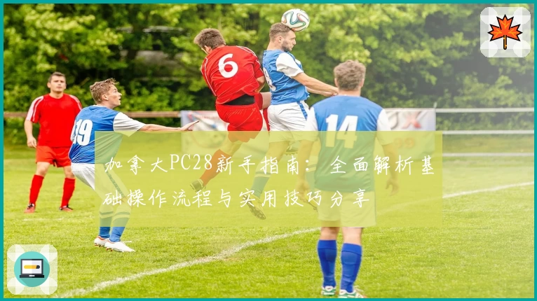 加拿大PC28新手指南：全面解析基础操作流程与实用技巧分享