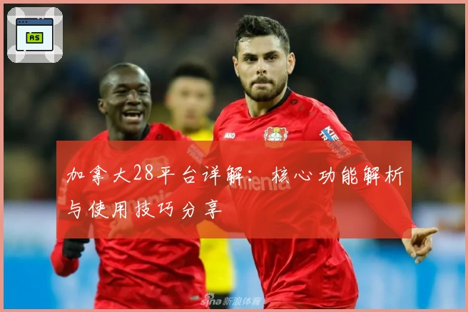 加拿大28平台详解：核心功能解析与使用技巧分享