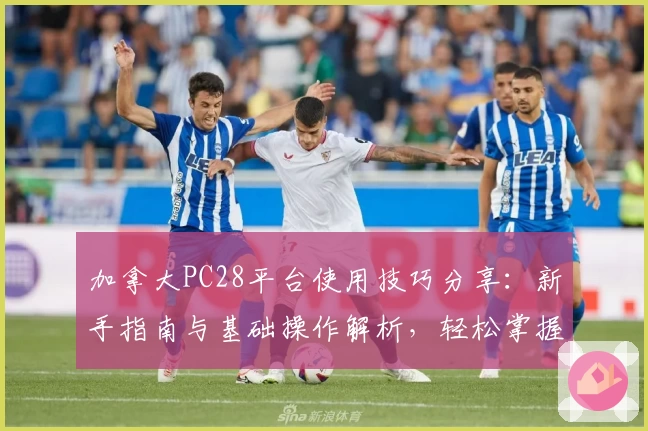 加拿大PC28平台使用技巧分享：新手指南与基础操作解析，轻松掌握核心功能体验