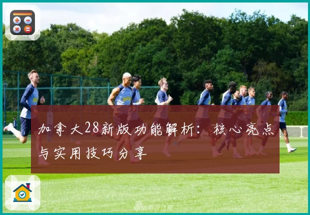 加拿大28新版功能解析：核心亮点与实用技巧分享