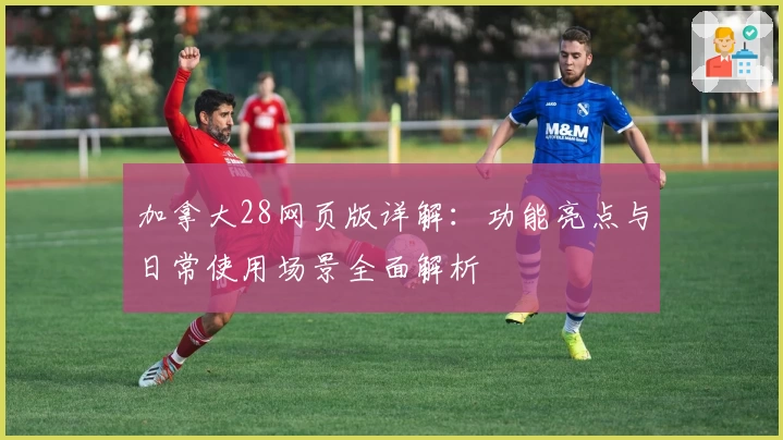 加拿大28网页版详解：功能亮点与日常使用场景全面解析