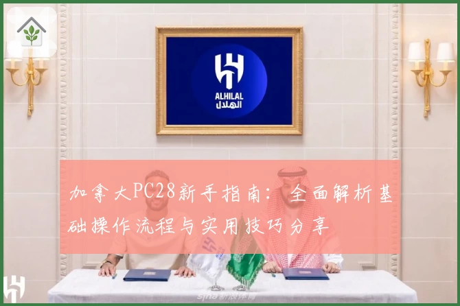 加拿大PC28新手指南:全面解析基础操作流程与实用技巧分享