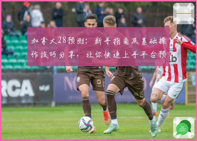 加拿大28预测：新手指南及基础操作技巧分享，让你快速上手平台预测功能