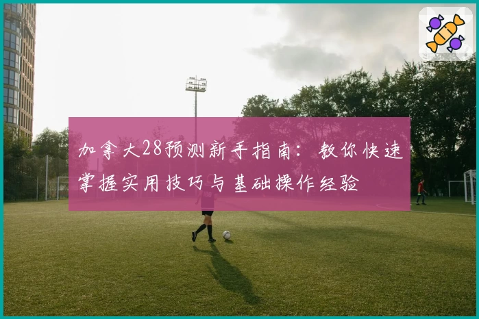 加拿大28预测新手指南：教你快速掌握实用技巧与基础操作经验