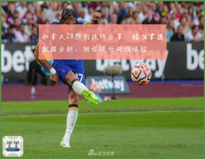 加拿大28预测技巧分享：精准掌握数据分析，助你提升游戏体验