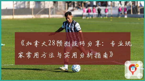 《加拿大28预测技巧分享：专业玩家常用方法与实用分析指南》