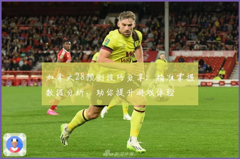 加拿大28预测技巧分享：精准掌握数据分析，助你提升游戏体验