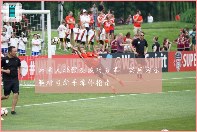 加拿大28预测技巧分享：实用方法解析与新手操作指南