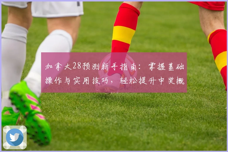 加拿大28预测新手指南：掌握基础操作与实用技巧，轻松提升中奖概率