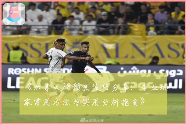 《加拿大28预测技巧分享：专业玩家常用方法与实用分析指南》