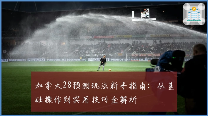 加拿大28预测玩法新手指南：从基础操作到实用技巧全解析